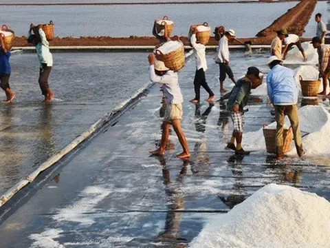 Giá muối cao, diêm dân không có muối để bán
