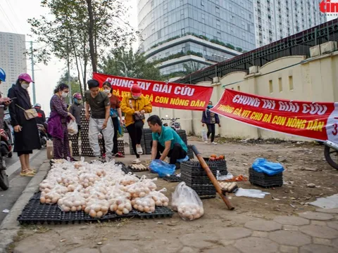 Cần làm rõ nguồn gốc những quả 'trứng gà, vịt giải cứu' ở Hà Nội