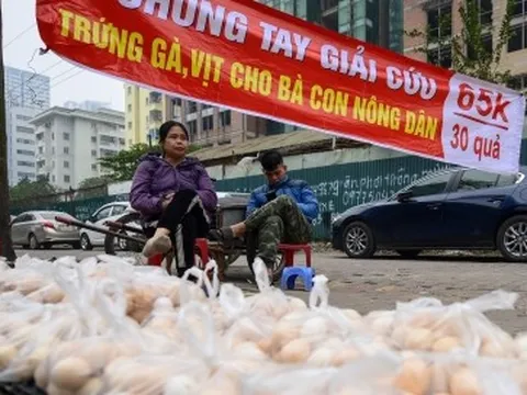 Cục trưởng Cục chăn nuôi: Giá trứng gà giảm nhưng chưa đến mức phải 'giải cứu'