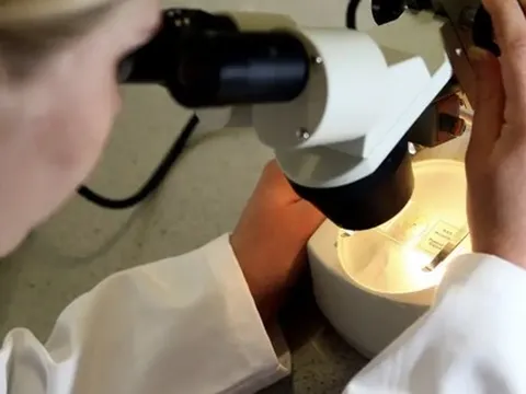 Đột phá trong điều trị ung thư