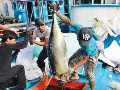 Ủy ban châu Âu chỉ rõ điều quyết định gỡ 'thẻ vàng' thuỷ sản Việt Nam