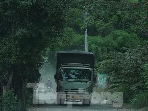 Tận thấy 'con đường đau khổ' gần 10 năm ở TPHCM