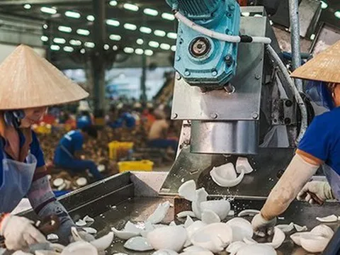 Xuất khẩu nông sản sắp thêm mặt hàng gia nhập 'câu lạc bộ' tỷ USD