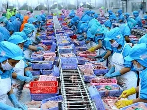Hàng tồn kho tăng mạnh, doanh nghiệp thuỷ sản nằm im chờ thời