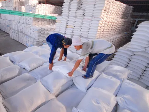 Xuất khẩu gạo tiềm ẩn rủi ro phụ thuộc thị trường