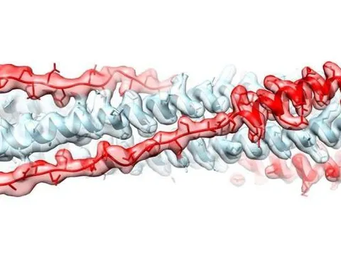 Phương pháp mới điều trị Covid-19