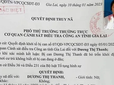 Bắt cụ bà 73 tuổi vay 14 tỉ đồng rồi bỏ trốn