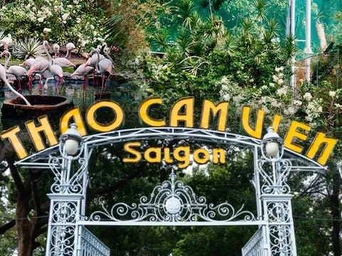 Thảo Cầm Viên Sài Gòn vươn mình sau lời kêu cứu hơn 1 năm trước, mỗi ngày thu 400 triệu đồng và nhìn lại hành trình đầy khó khăn