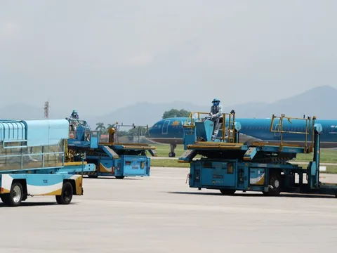 Khỉ vàng bất ngờ xuất hiện tại khu vực hàng rào an ninh sân bay Nội Bài