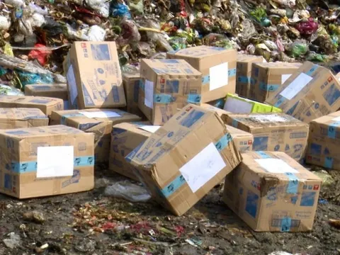 Bạc Liêu: Hơn 1.500 hộp nhang diệt muỗi giả mạo bị tiêu huỷ