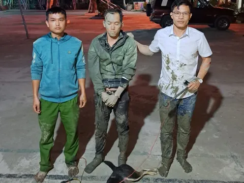 Công an xã mật phục bắt kẻ dùng kích điện trộm chó