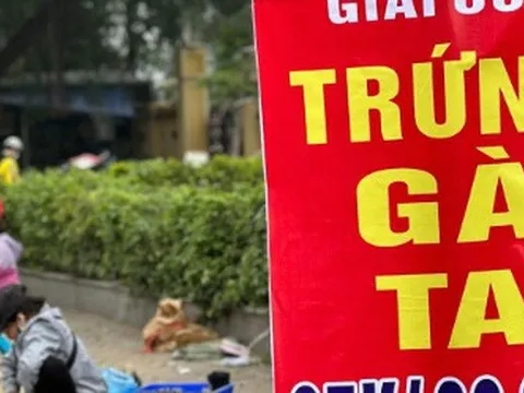 Thông tin "giải cứu trứng gà, vịt cho người dân Liên Châu" là sai sự thật