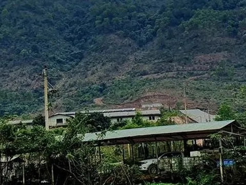 Trại lợn của Giám đốc ban xây dựng ở Huế kiếm tiền từ bán điện ra sao?