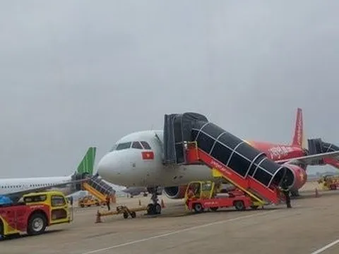 Liên tiếp phát hiện khỉ xâm nhập sân bay Nội Bài, Cục Hàng không chỉ đạo khẩn