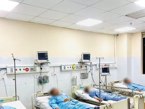 Cả nhà ngộ độc nấm, 1 người chết, 5 người cấp cứu tại bệnh viện