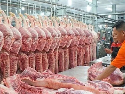 Giải mã giá thịt lợn thấp