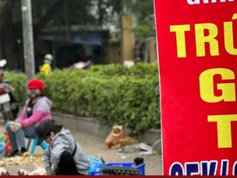 Giải cứu trứng gà: Chiêu trò của các thương lái?