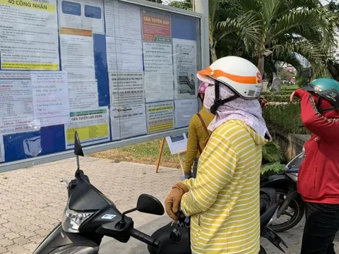 Vẫn còn 5.493 người lao động bị nợ lương hơn 56 tỷ đồng
