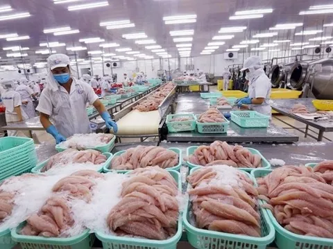 ASEAN là thị trường xuất khẩu thủy sản lớn thứ 4 của Việt Nam trong tháng 1/2023