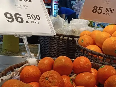 Giữa lúc cam sành đang được giải cứu, người tiêu dùng vẫn thích mua cam ngoại