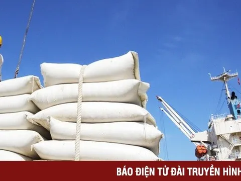 An Giang phát triển bền vững hoạt động xuất nhập khẩu