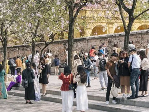 Đông nghịt người kéo đến "con đường hoa ban tím" ở Hà Nội trong ngày cuối tuần, đúng là trời nắng đẹp có khác!