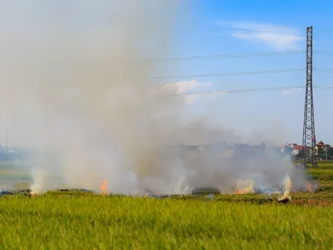 Đề xuất ban hành quy định xử lý hành vi đốt rơm rạ