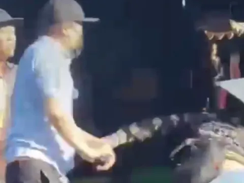 Sự thật về những người xung đột với chị bán cá trong clip gây bão mạng