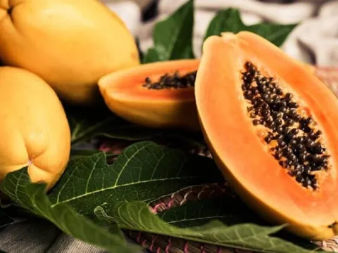 Những lưu ý “vàng” khi ăn đu đủ không phải ai cũng biết