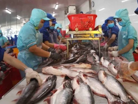 Xuất khẩu thủy sản bật tăng trở lại