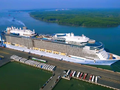 Siêu tàu thuộc top 10 thế giới cập cảng ở Bà Rịa - Vũng Tàu