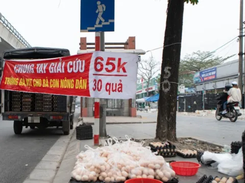 VIPA: Cảnh giác với chào mời “giải cứu” trứng gia cầm