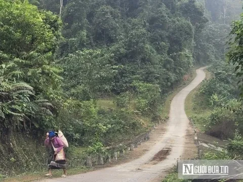 Bản nghèo “gánh” điện giá cao, dân vướng “lao lý” vì 72 cây gỗ tạp