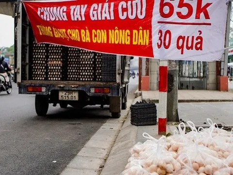Cảnh giác với trứng gia cầm "giải cứu"