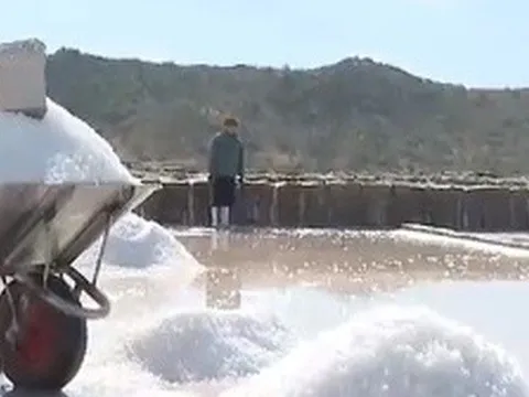 Giá muối cao kỷ lục, diêm dân phấn khởi