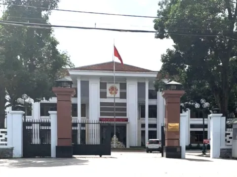 Chủ tịch Quảng Ngãi chỉ đạo xác minh 8 nội dung liên quan đến Giám đốc Sở KH&CN