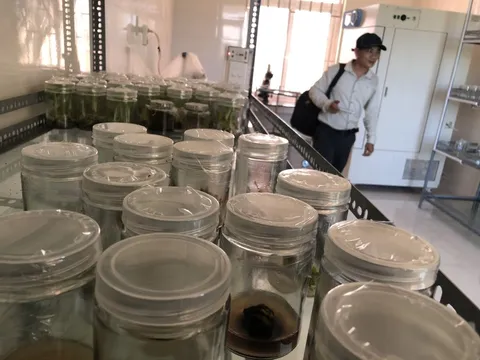 Một giám đốc sở Quảng Ngãi bị tố cáo 8 nội dung