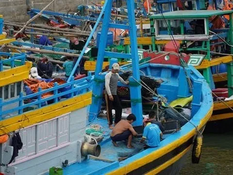 131 tàu cá Bình Thuận mắc kẹt ở quần đảo Trường Sa kêu cứu vì thiếu lương thực, nước uống