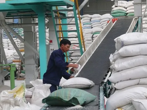 Một doanh nghiệp bị HoSE dừng xem xét hồ sơ đăng ký niêm yết