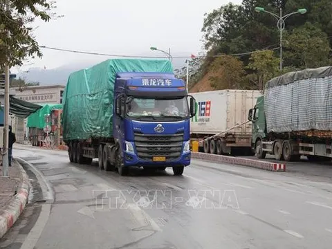 Trung Quốc trở lại là thị trường nhập khẩu nông, lâm, thủy sản lớn nhất của Việt Nam
