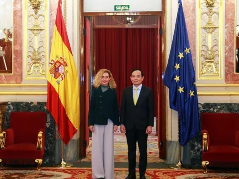 Việt Nam-Tây Ban Nha đẩy mạnh trụ cột hợp tác đầu tư-thương mại
