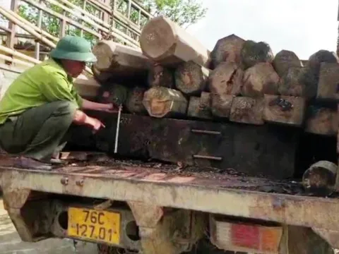 2 kiểm lâm bị lâm tặc đánh nhập viện, dọa giết