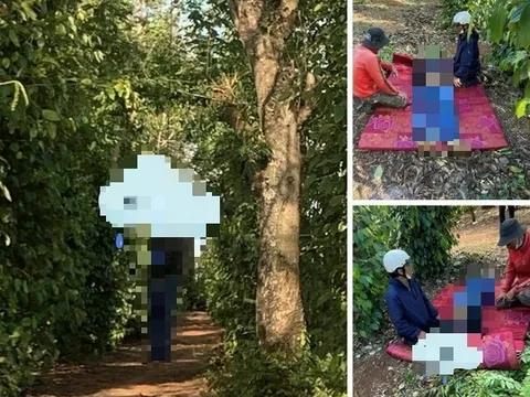 Cãi nhau với vợ, người đàn ông ở Đắk Lắk tìm đến cái chết