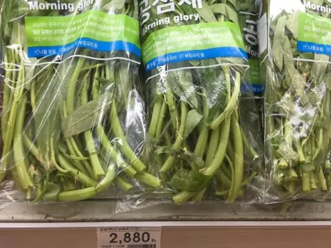 Loại rau ở Việt Nam bán đầy ngoài chợ sang nước ngoài thành thứ siêu đắt đỏ, 10 cọng rau giá cả trăm nghìn