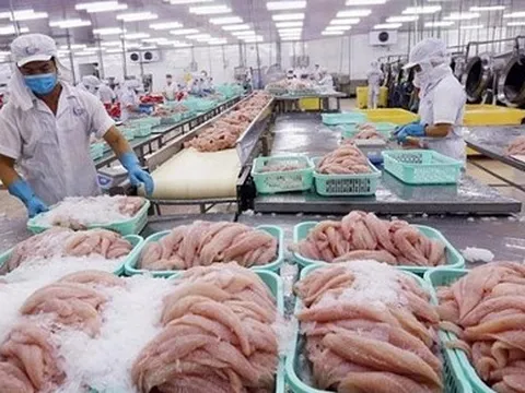 VASEP: Cá tôm Việt sang Mỹ và EU giảm mạnh, xuất khẩu thủy sản 2 tháng đầu năm chỉ bằng 3/4 cùng kỳ