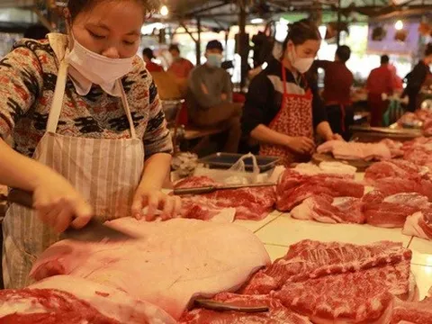 Giá thịt lợn hơi xuống dưới 50.000 đồng/kg