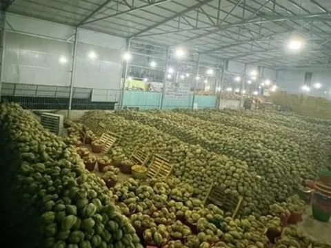 246 mã số vùng trồng sầu riêng được phê duyệt để xuất khẩu sang Trung Quốc