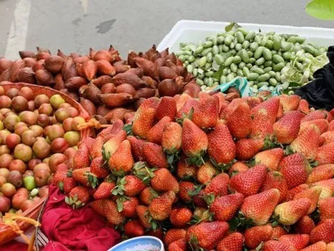 Hà Nội: Hoa quả đặc sản tưởng rẻ hóa đắt, loại đắt giá lại rẻ không tưởng