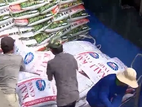 Giá phân bón tăng, người nông dân gặp khó