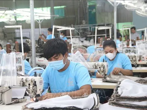 Nhiều doanh nghiệp tại Trà Vinh gặp khó khăn